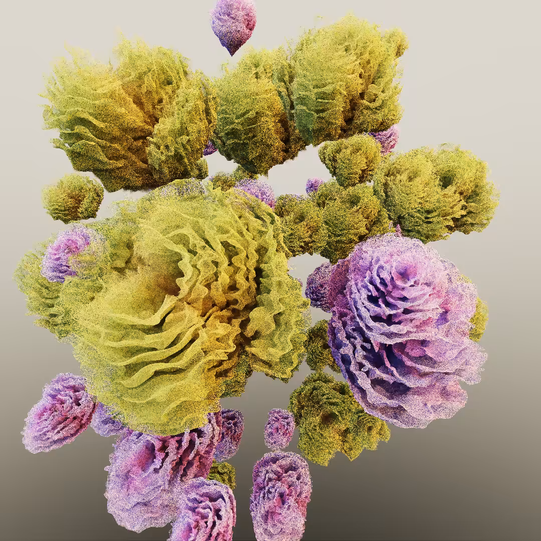 rosarium #4