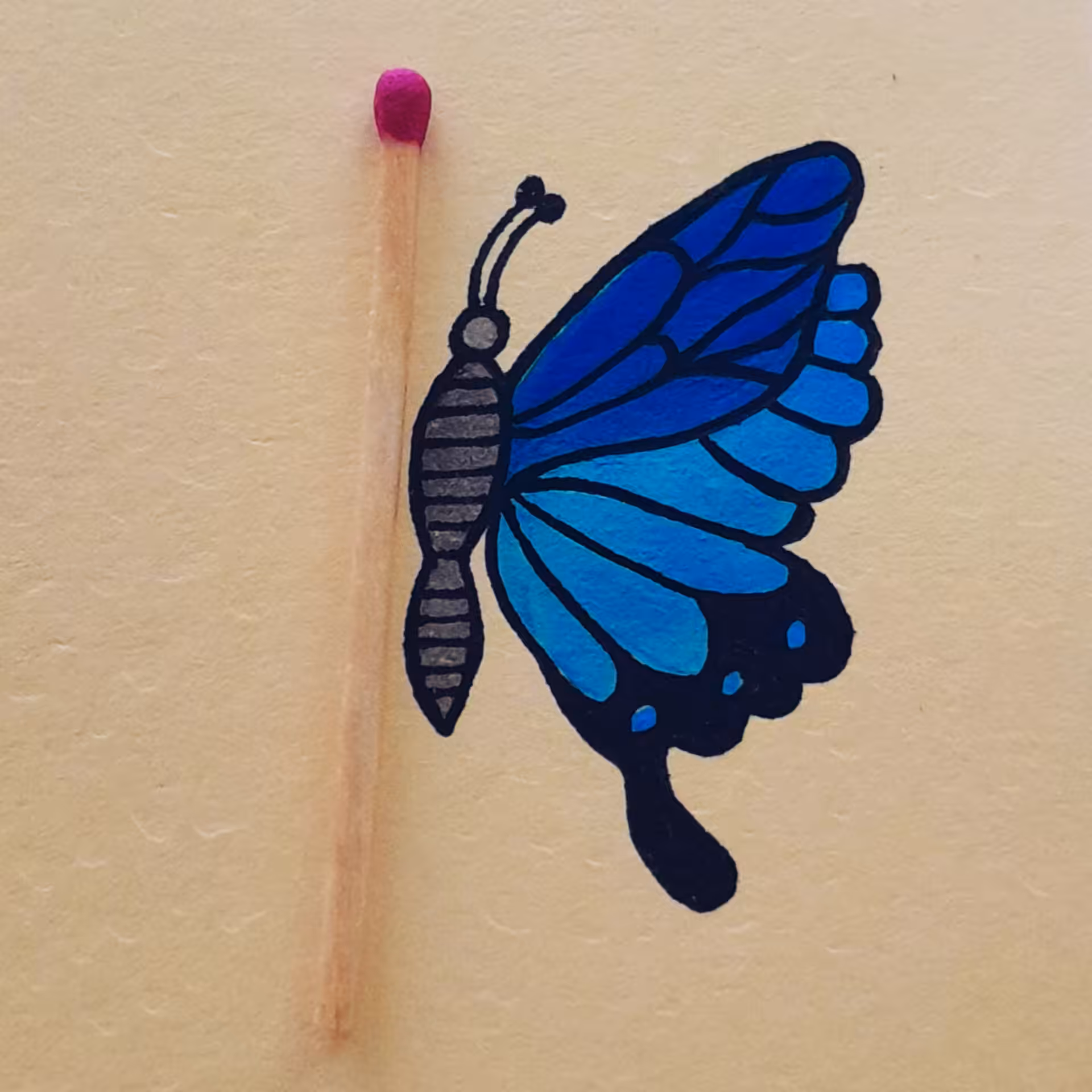 Butterfly 7