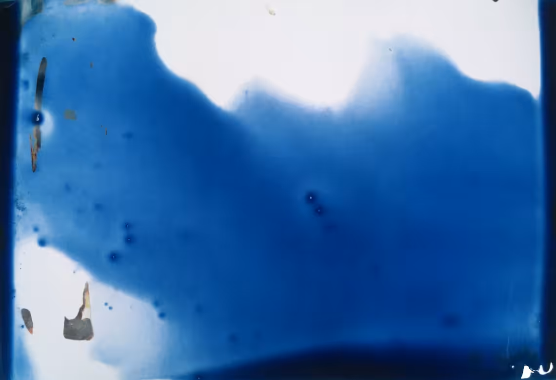 Blue Frank