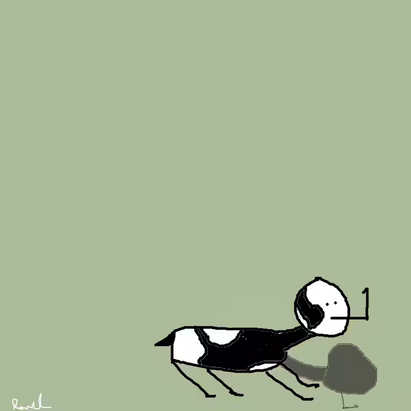 lawl gobbler #011 (cow)