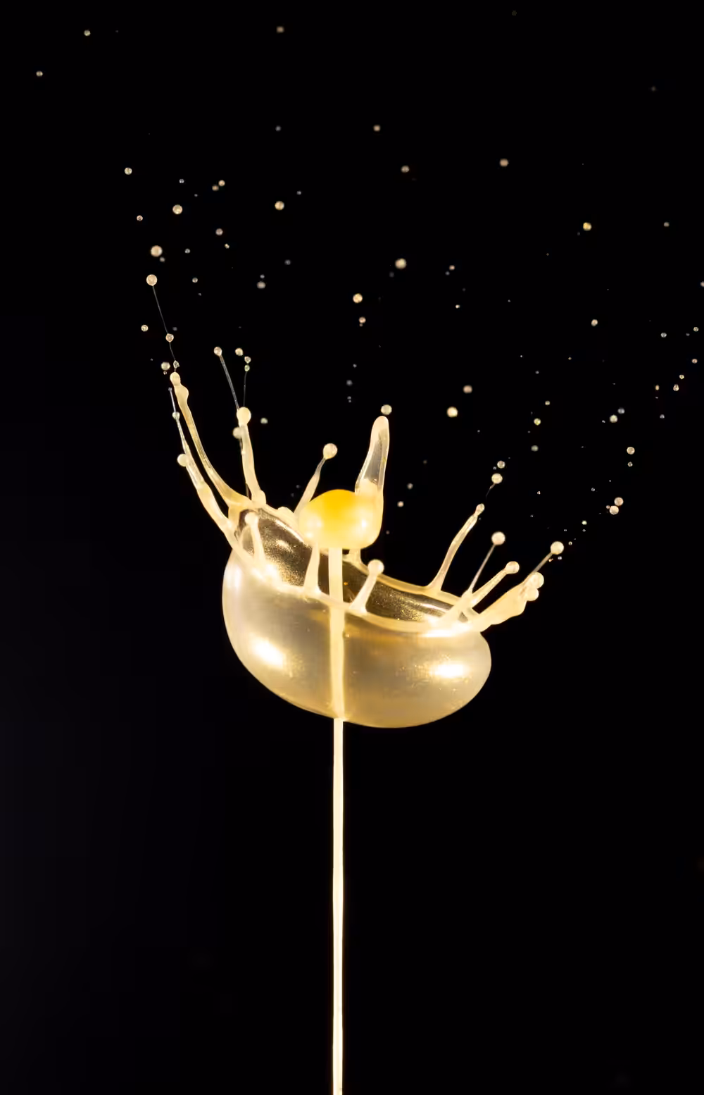 The Golden Flower