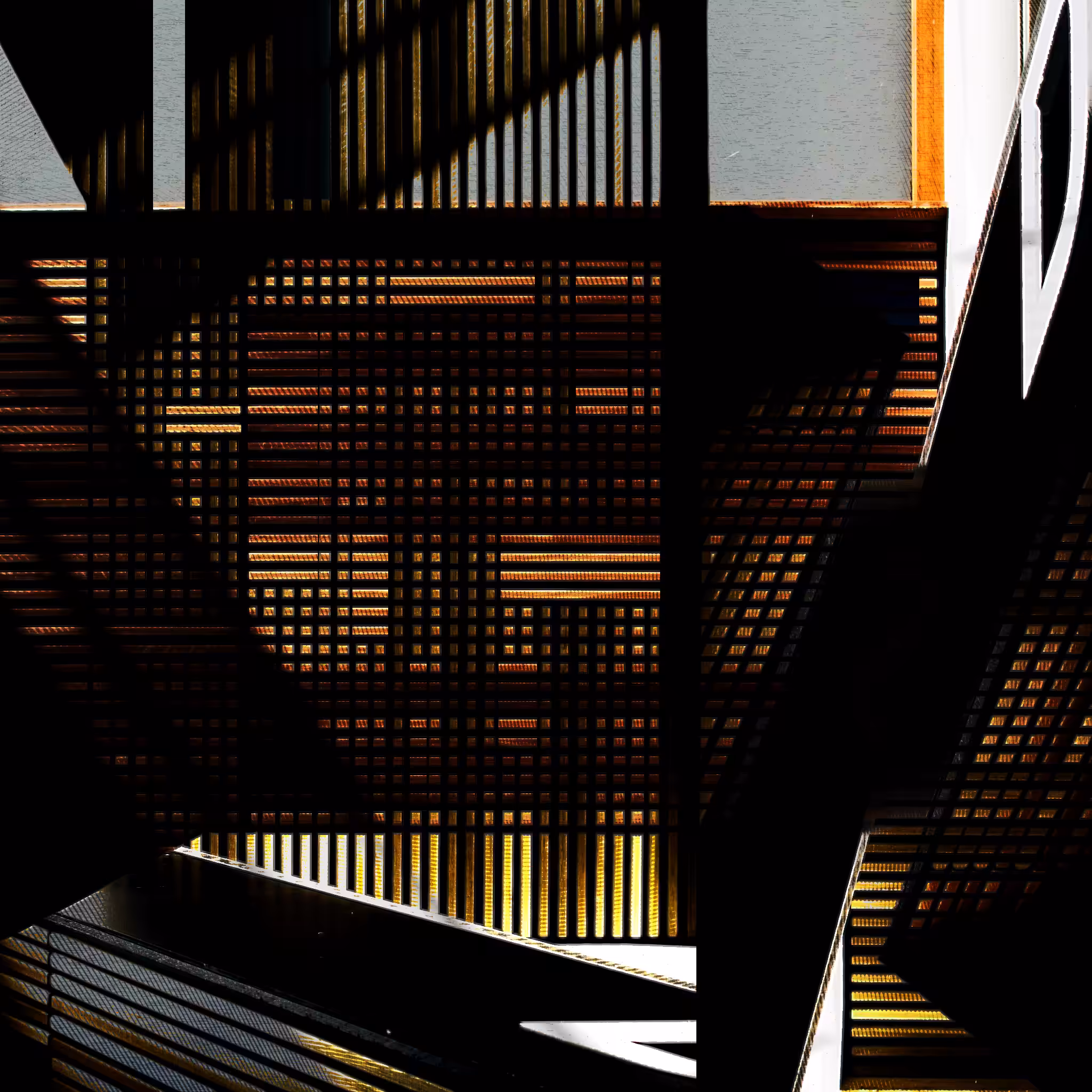 ENMESHED