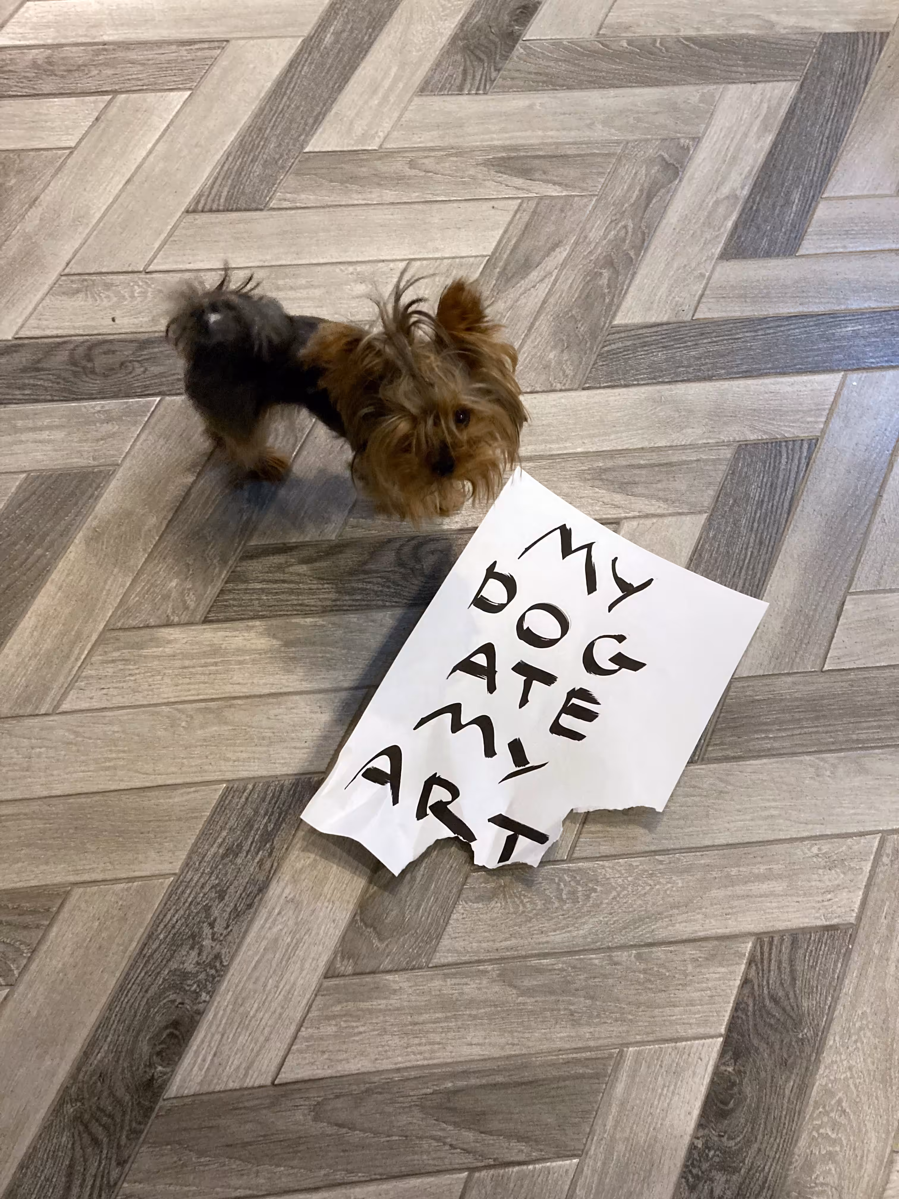 MY DOG ATE MY ART
