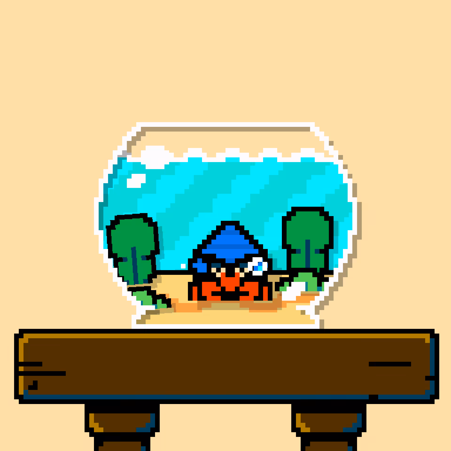 hermit crab #165