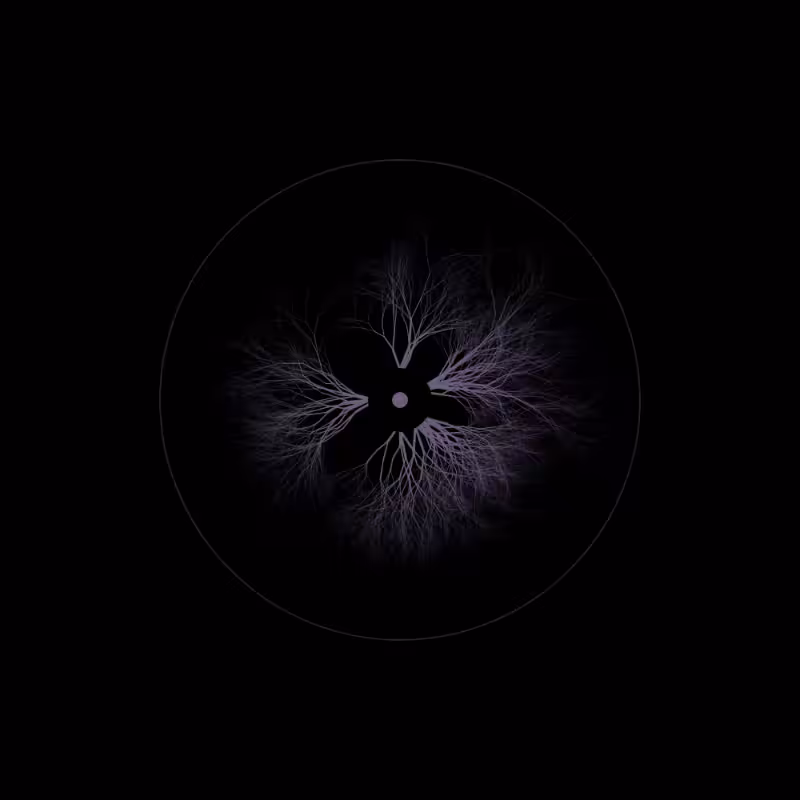 EYE #77