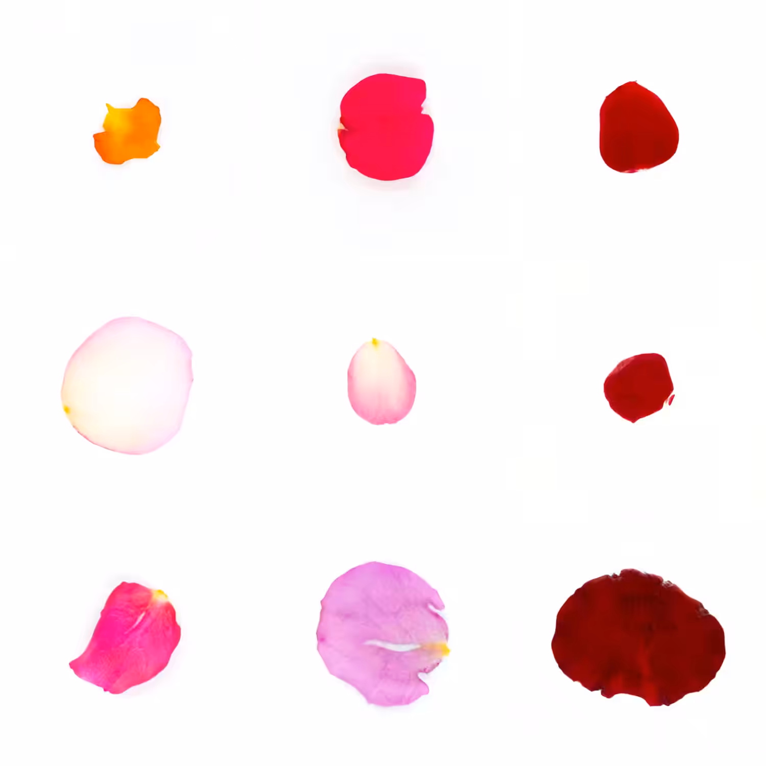 Infinite Petals 3x3#2297