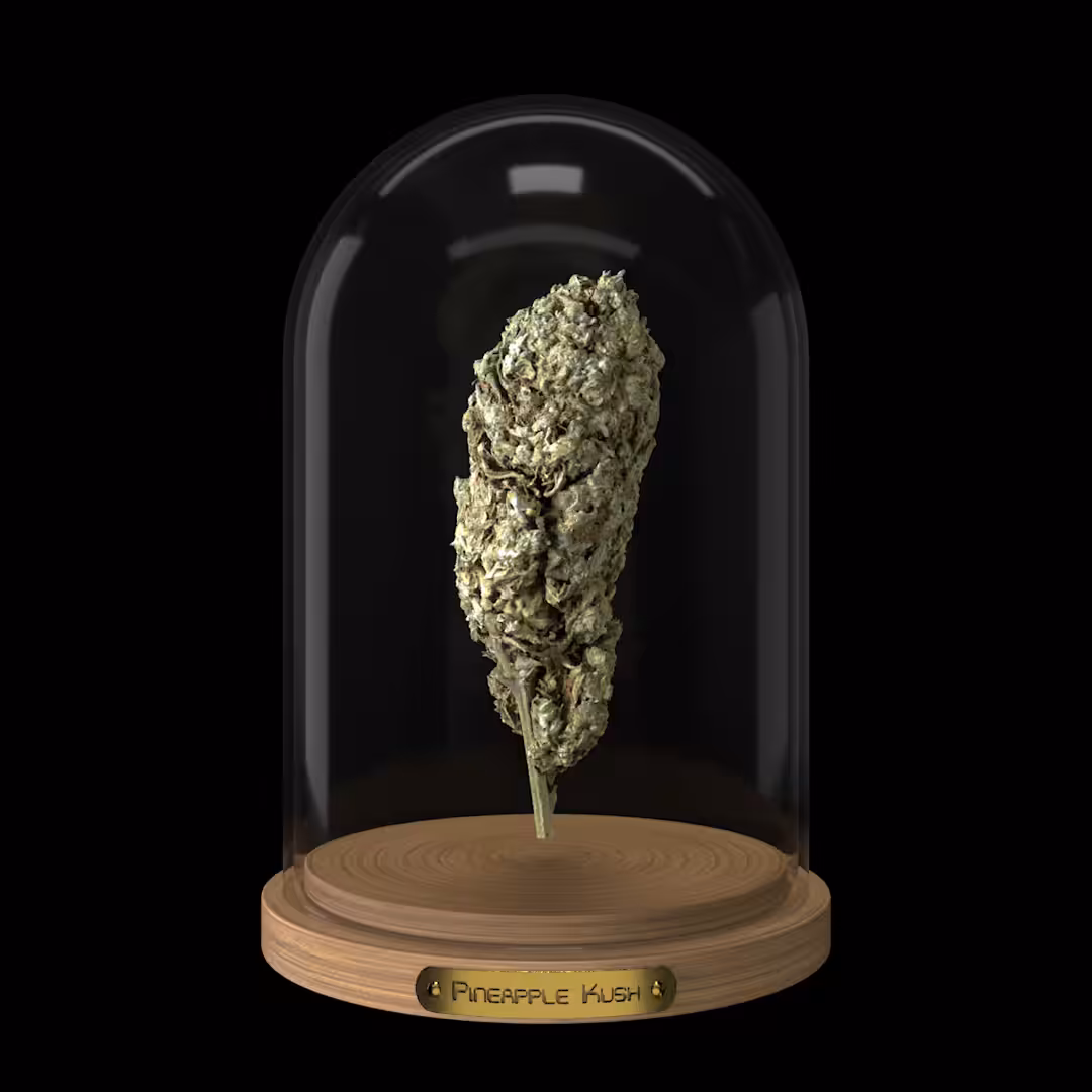 Pineapple Kush