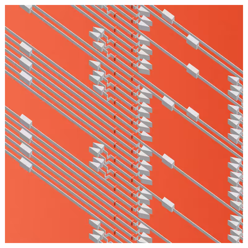 Neural Collapse #298