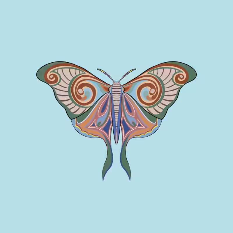 The Moth Experiment 2.0 P2 #21
