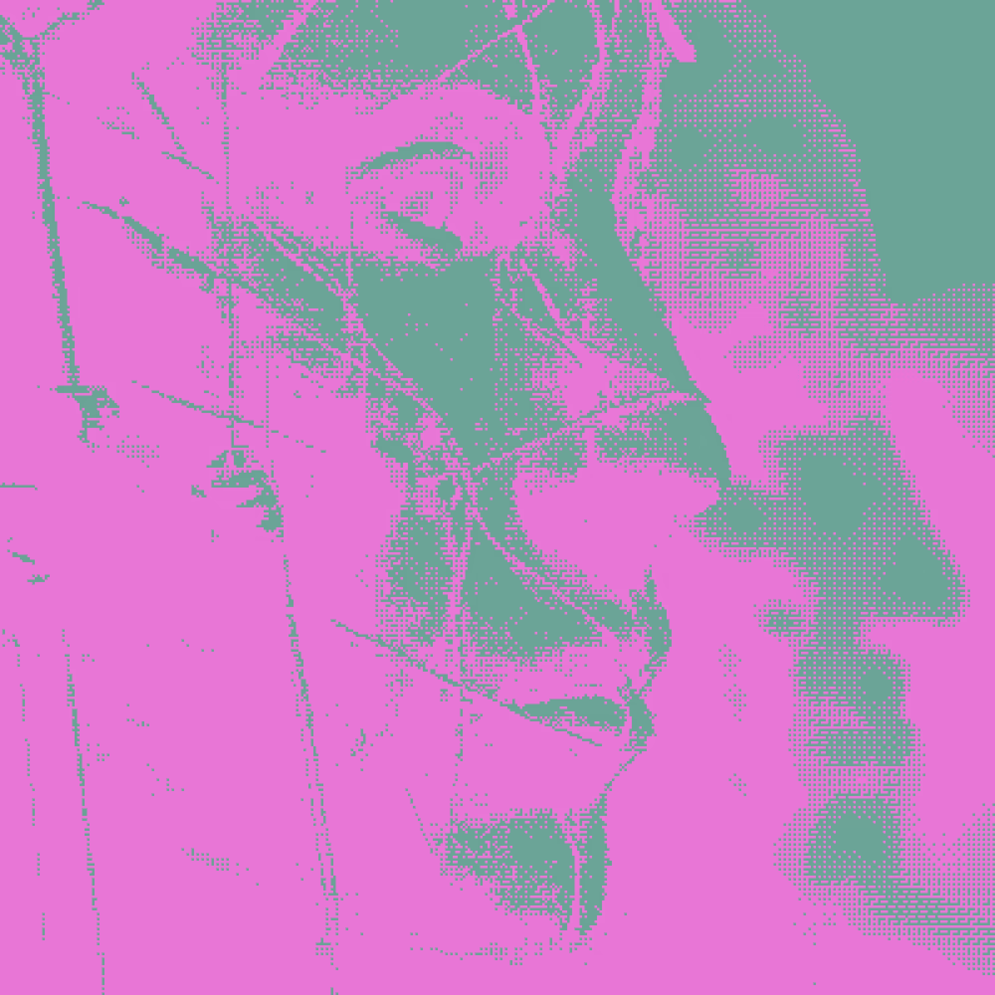 AM I/I AM #48