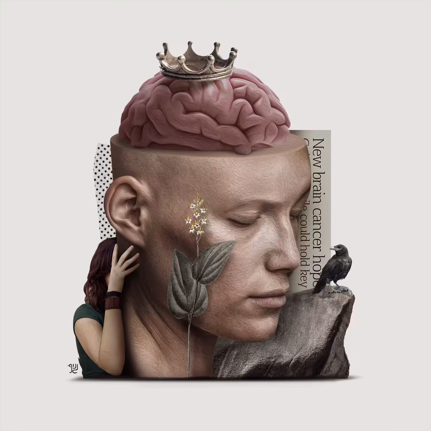 The Brain