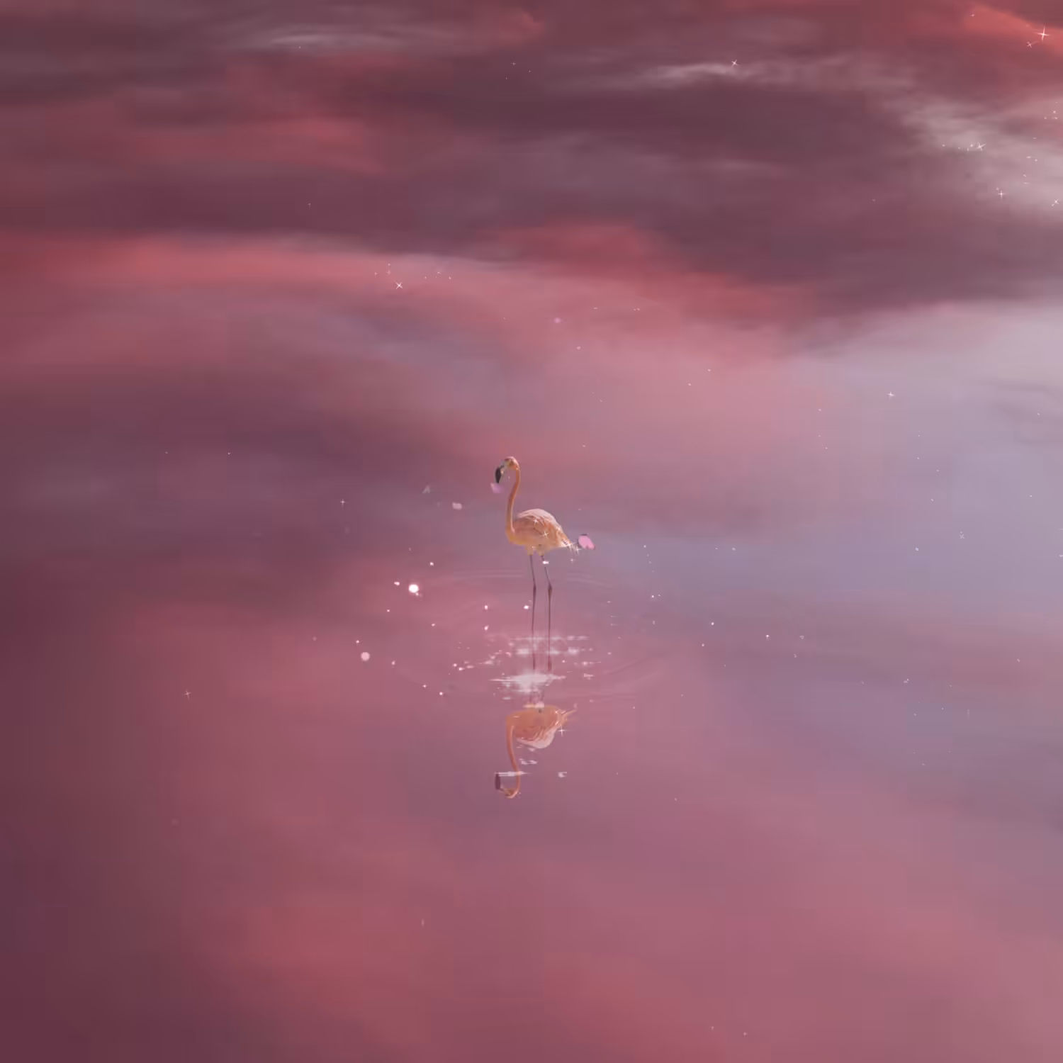 Flamingo Serenade