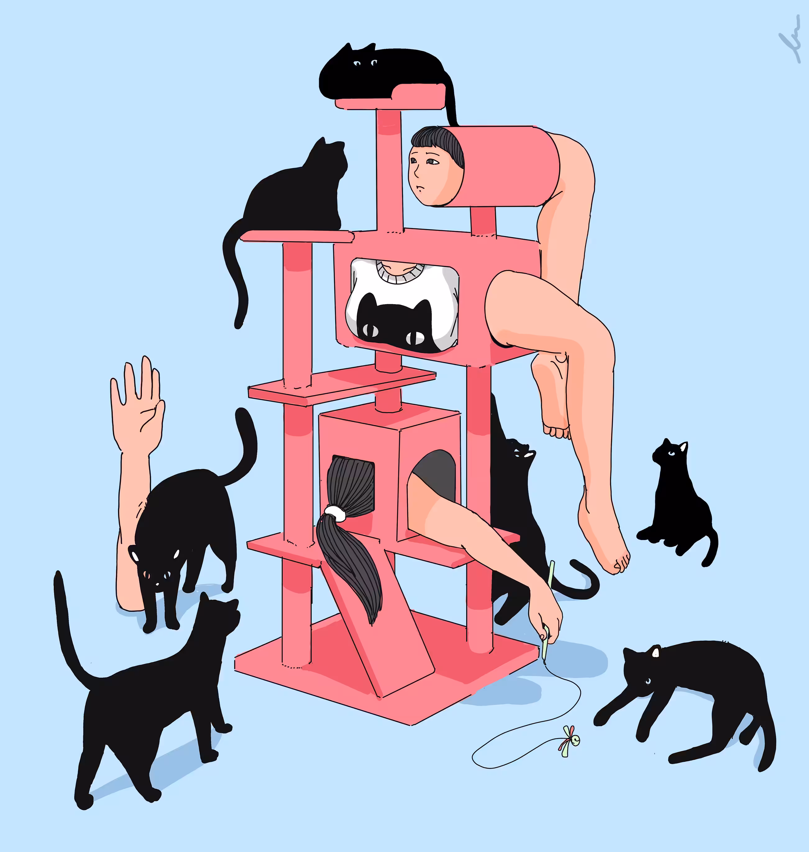 Black Cats