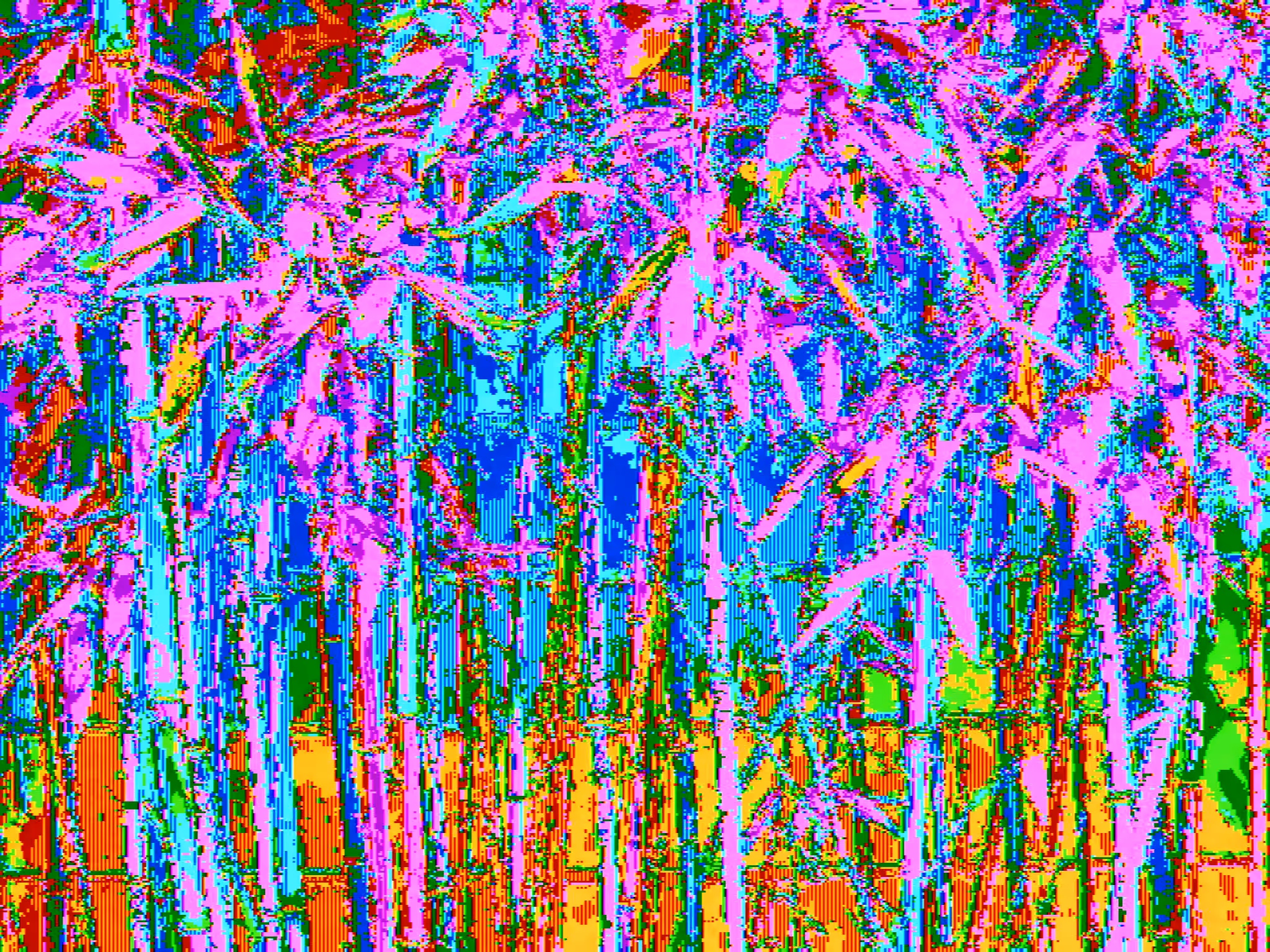 BAMBOO RAINBOW