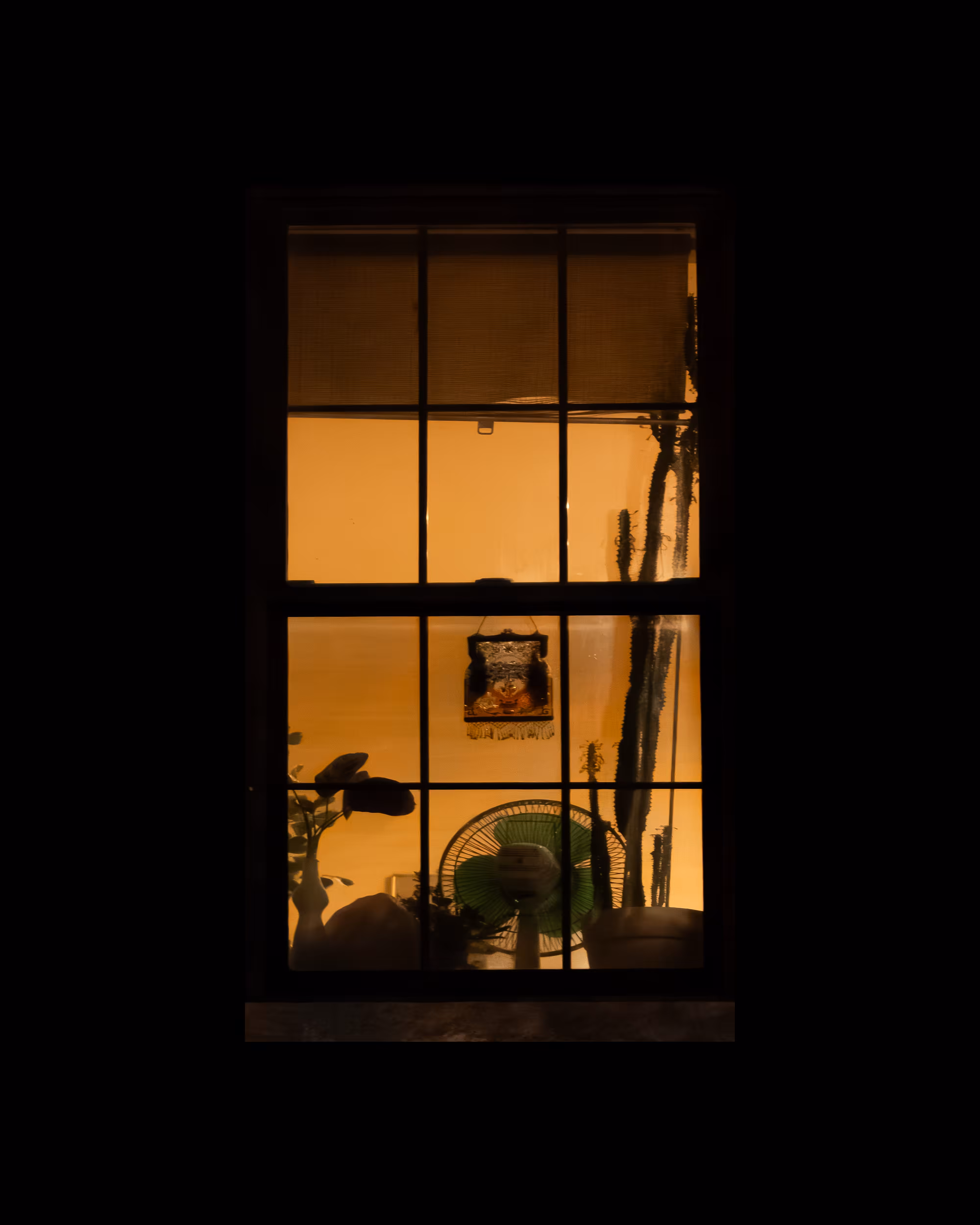 WINDOW 156
