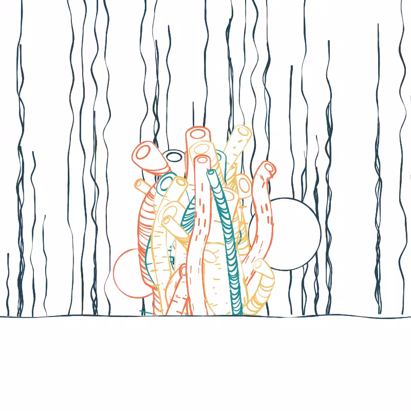The Good Corals #75