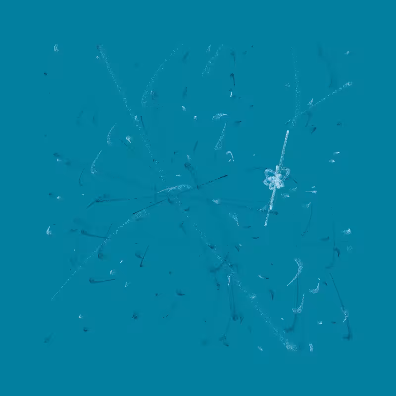 Flux #43