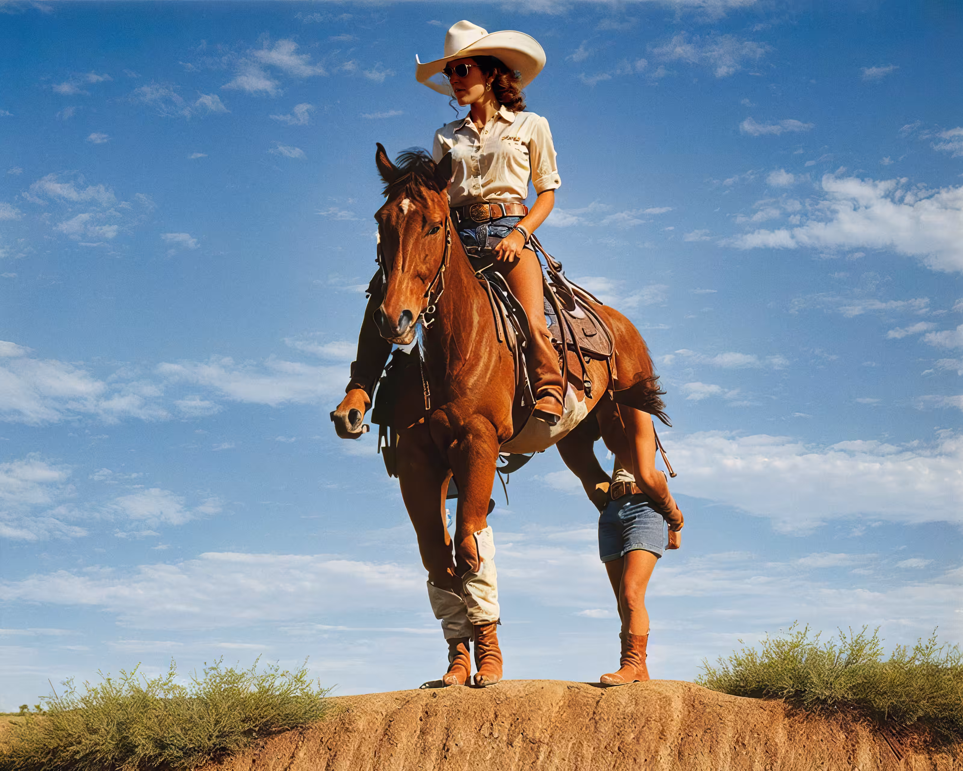 Life In West America #386