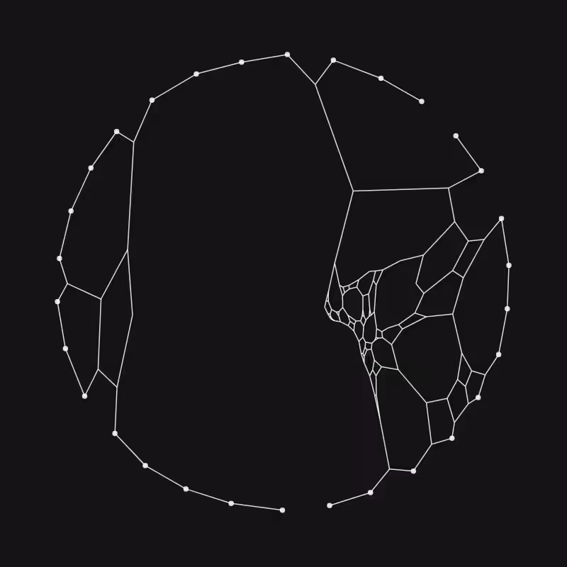 Elastic Web #146
