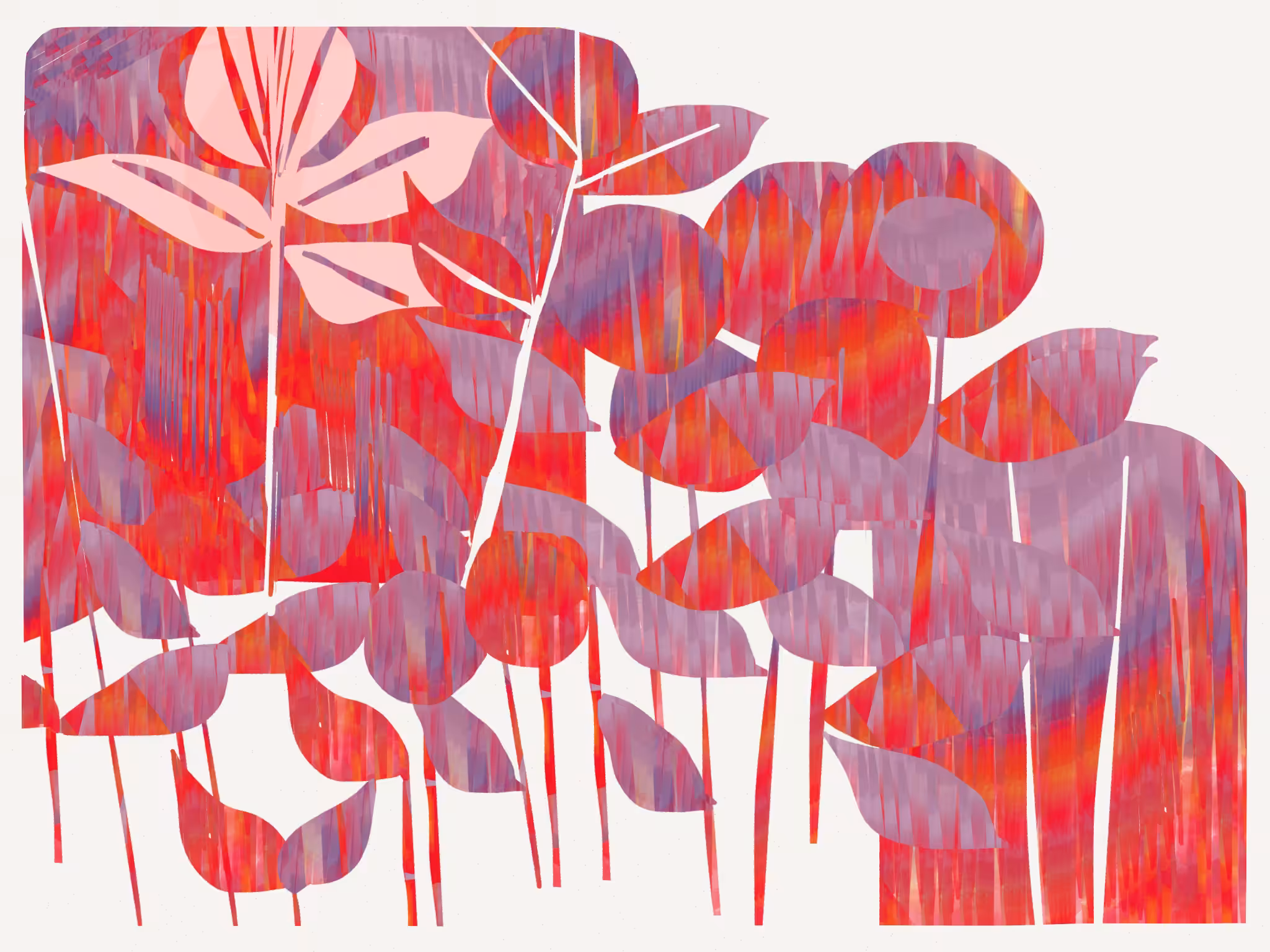 Sommerflor