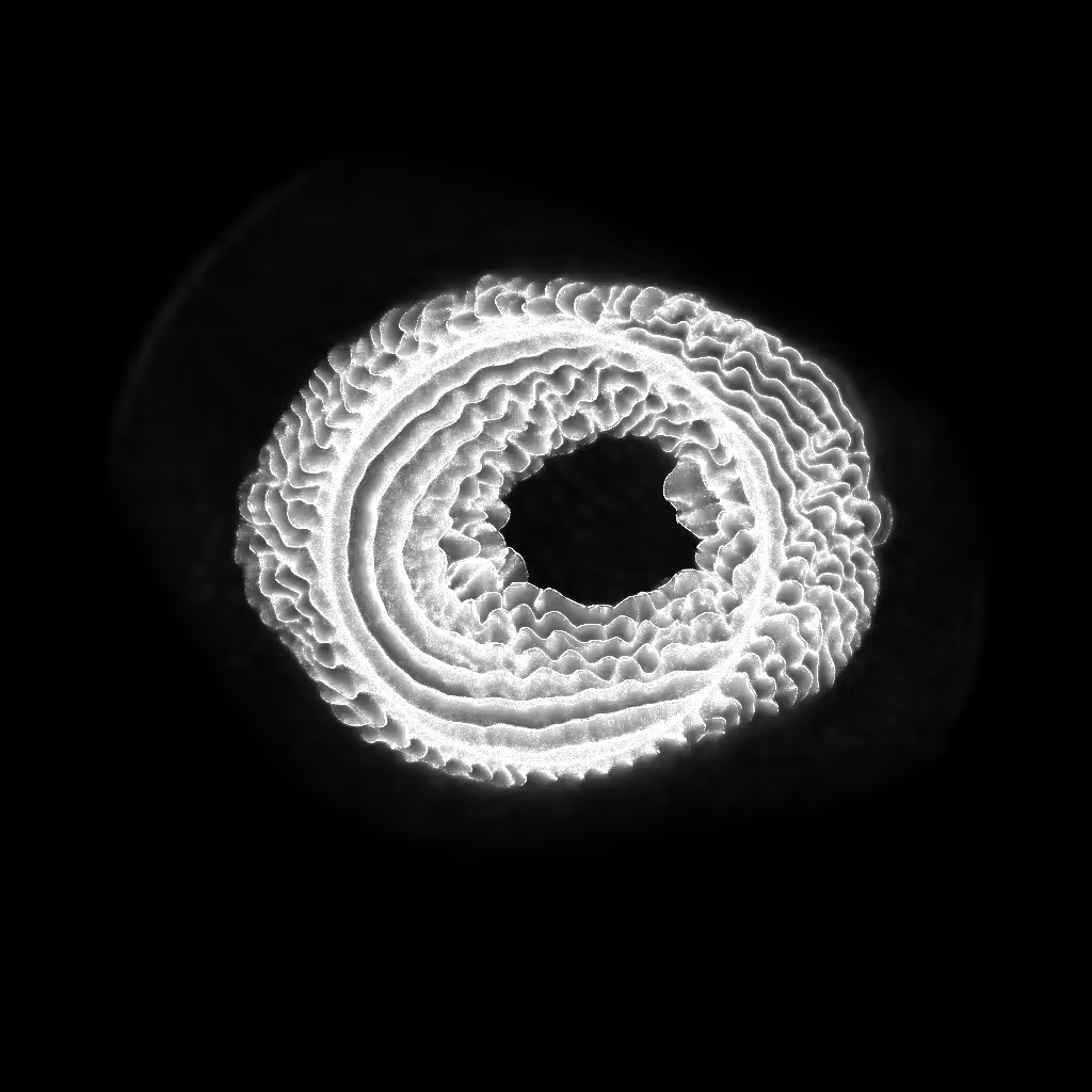 PETRI #59