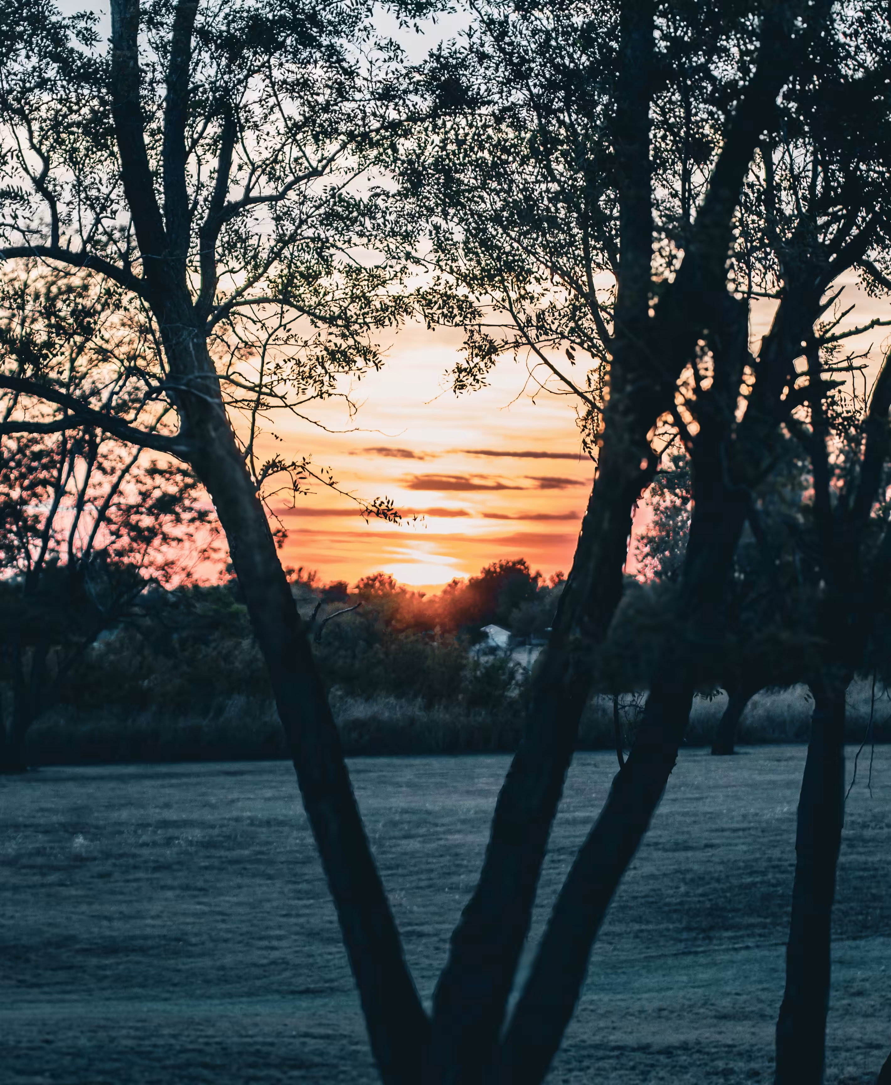 Afternoon Hues