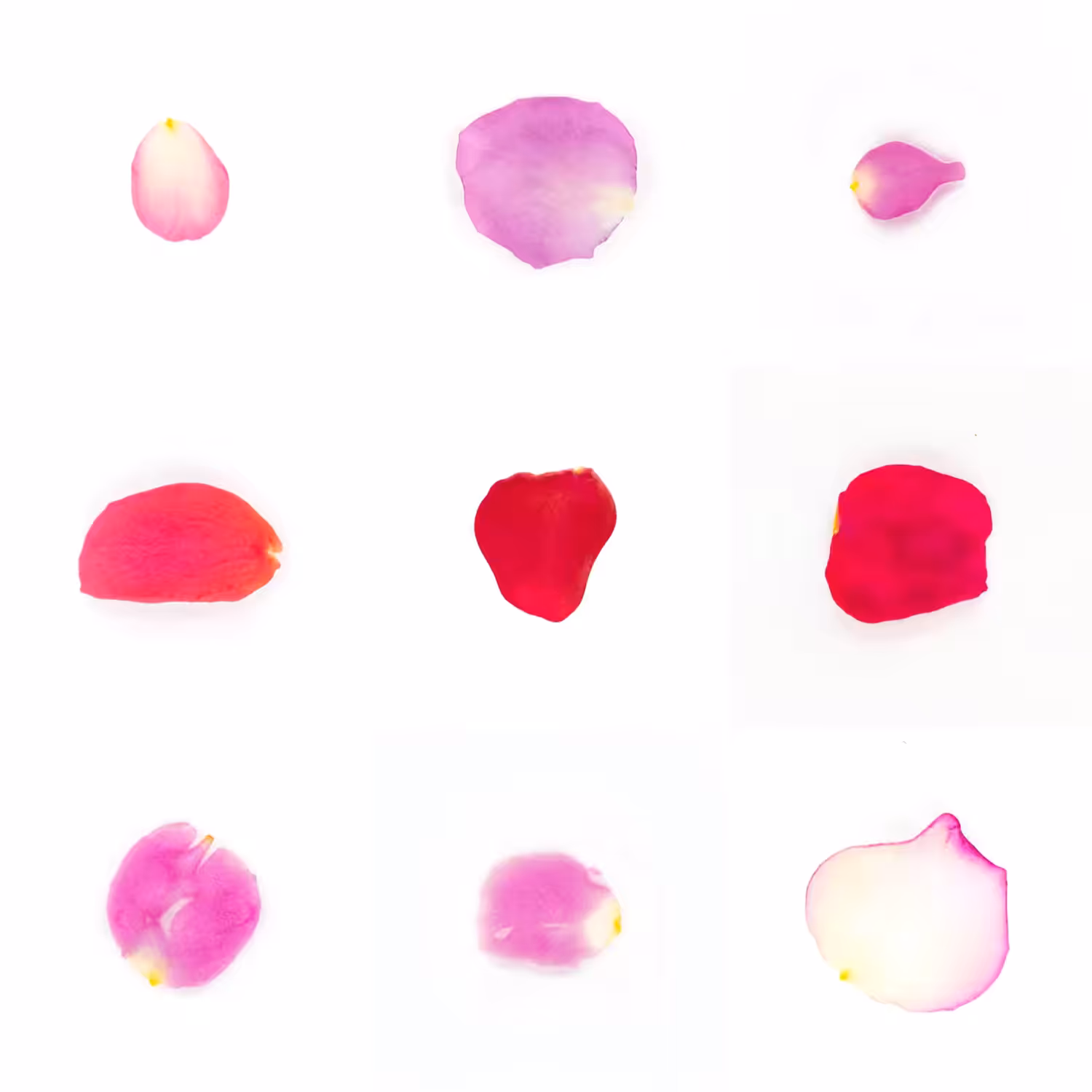 Infinite Petals 3x3#20144