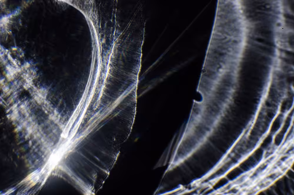 illusory //2013#03