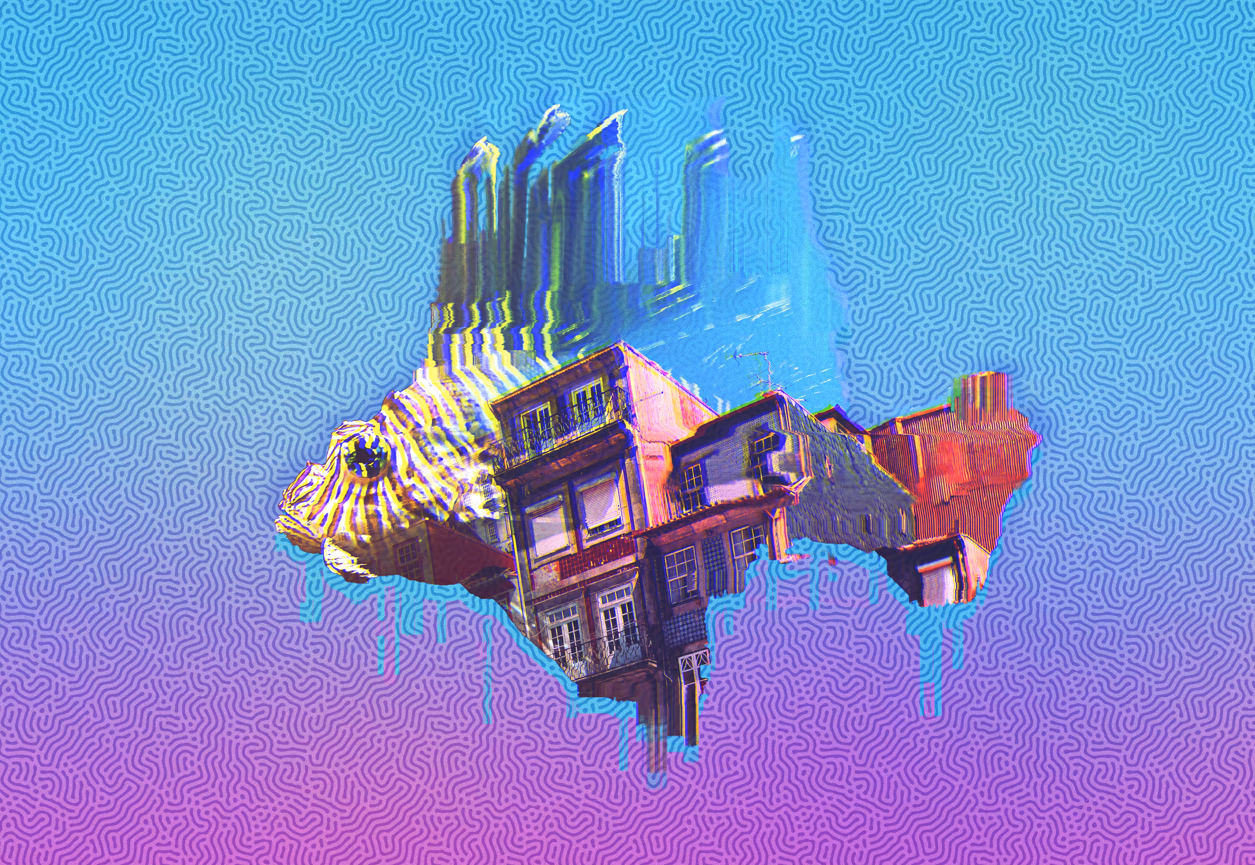 Daydreaming