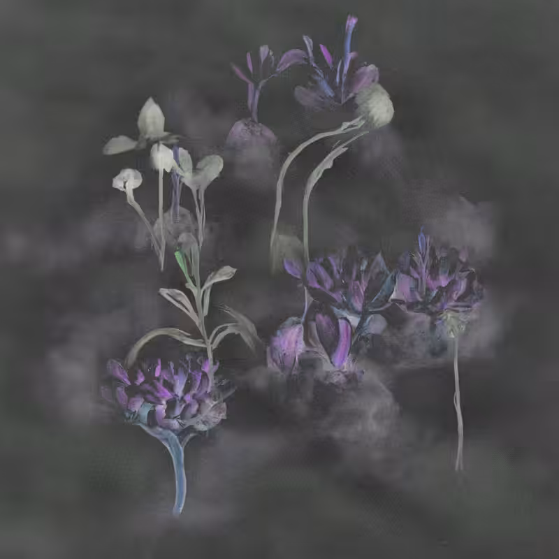 Hauntological Herbarium #8