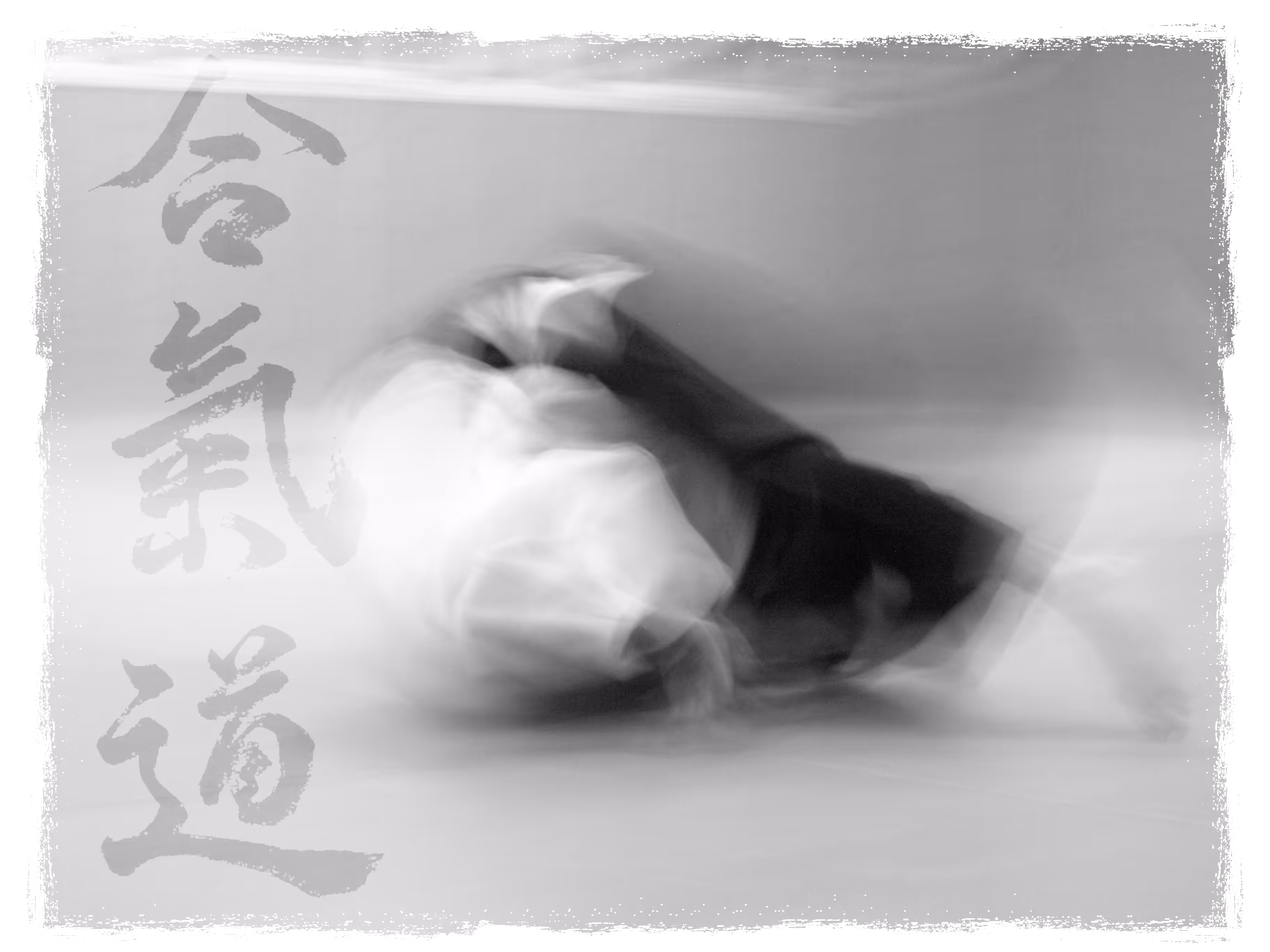 Mae mawari ukemi