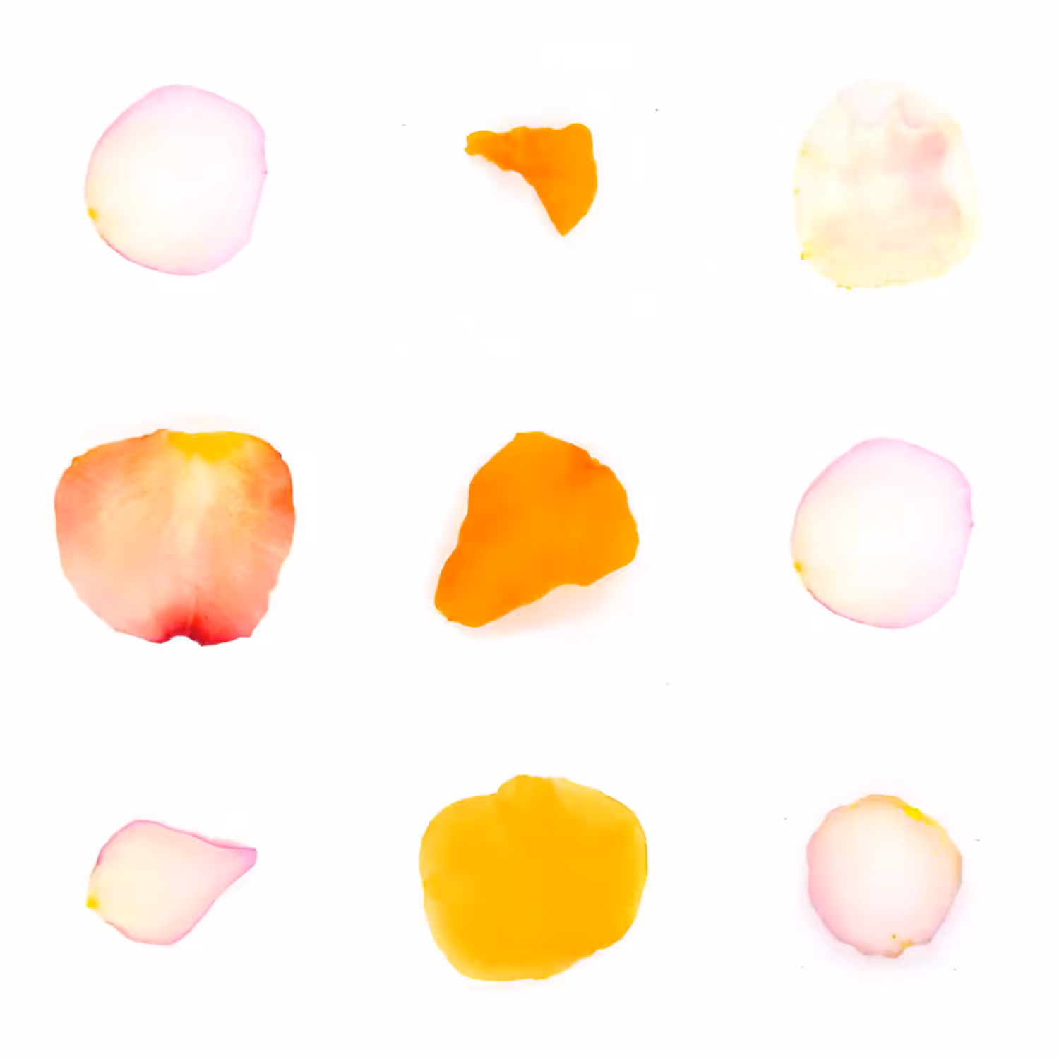 Infinite Petals 3x3#20704