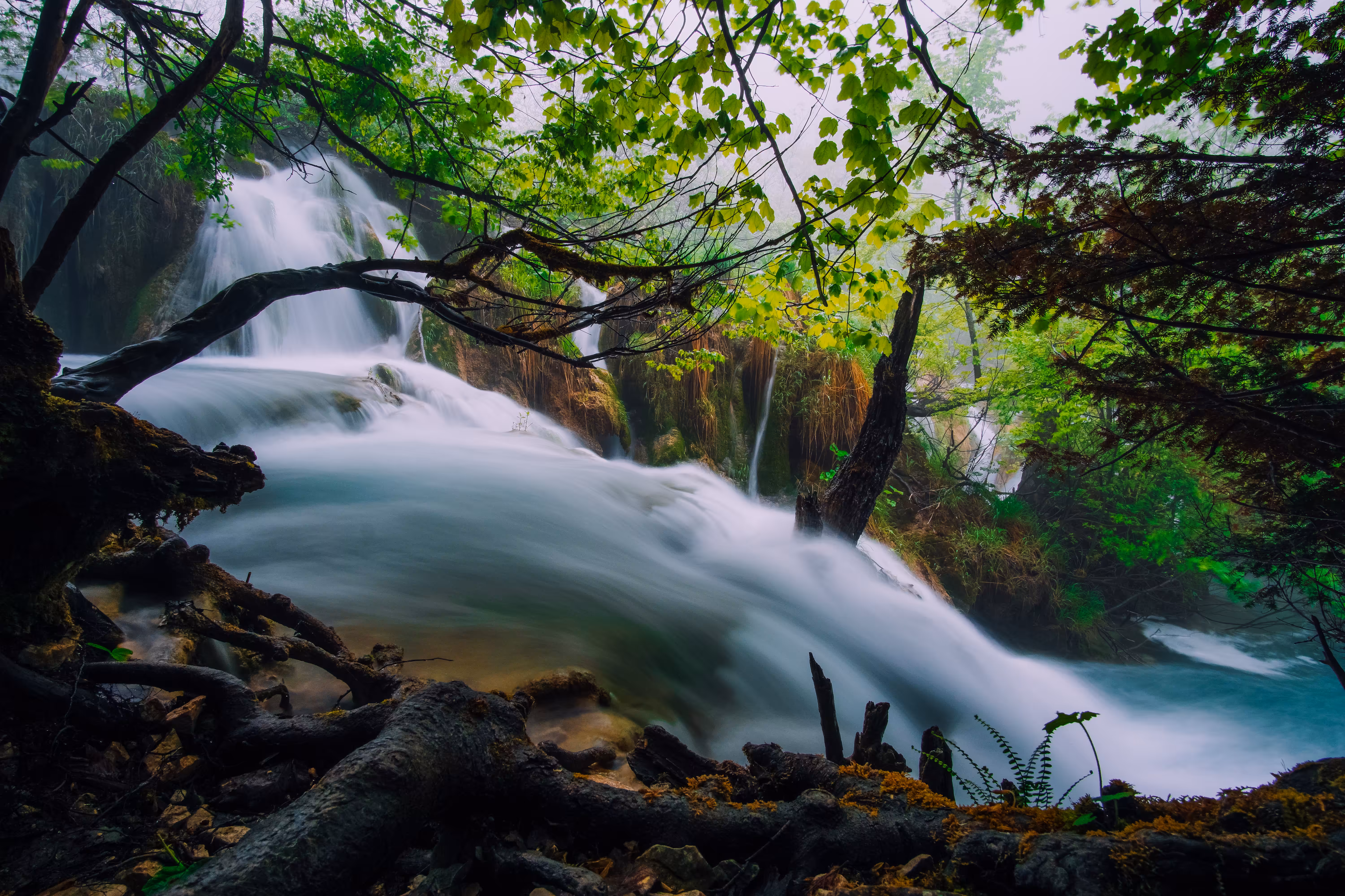 Origin of Flow