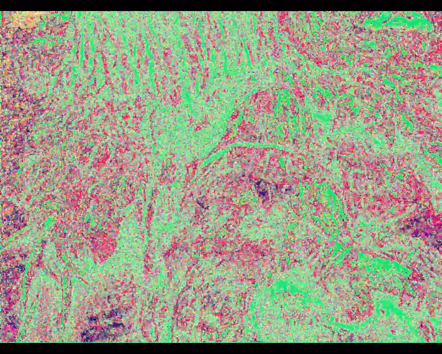 Fragment 04 / exoplanet  Tannhäuser 7 / Blood-root system of the soil