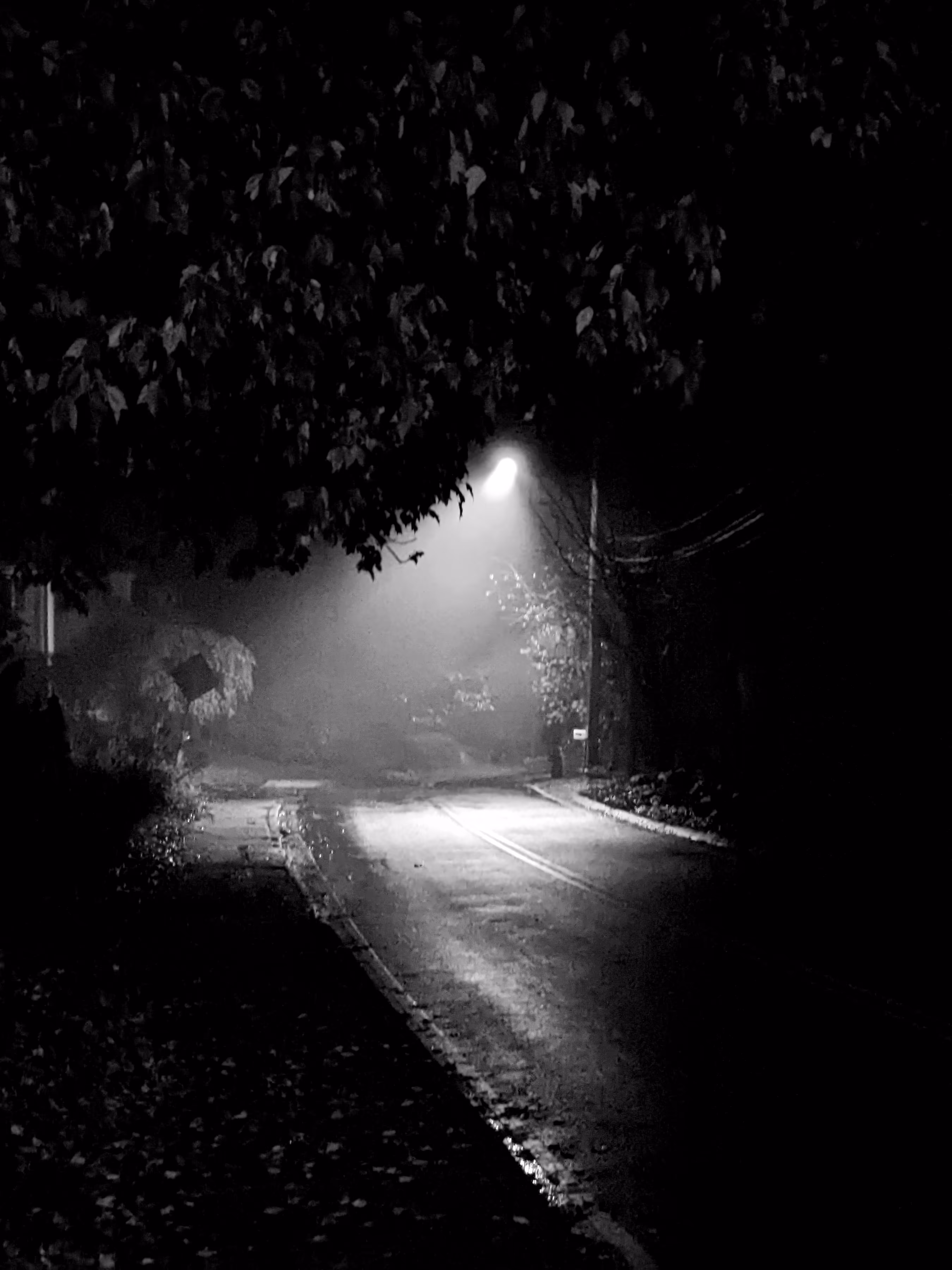 Guiding Light