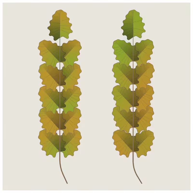 Leaves #13