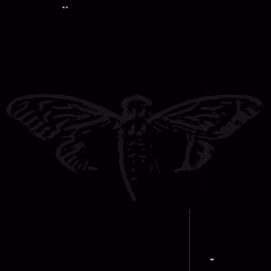 cicada 3301