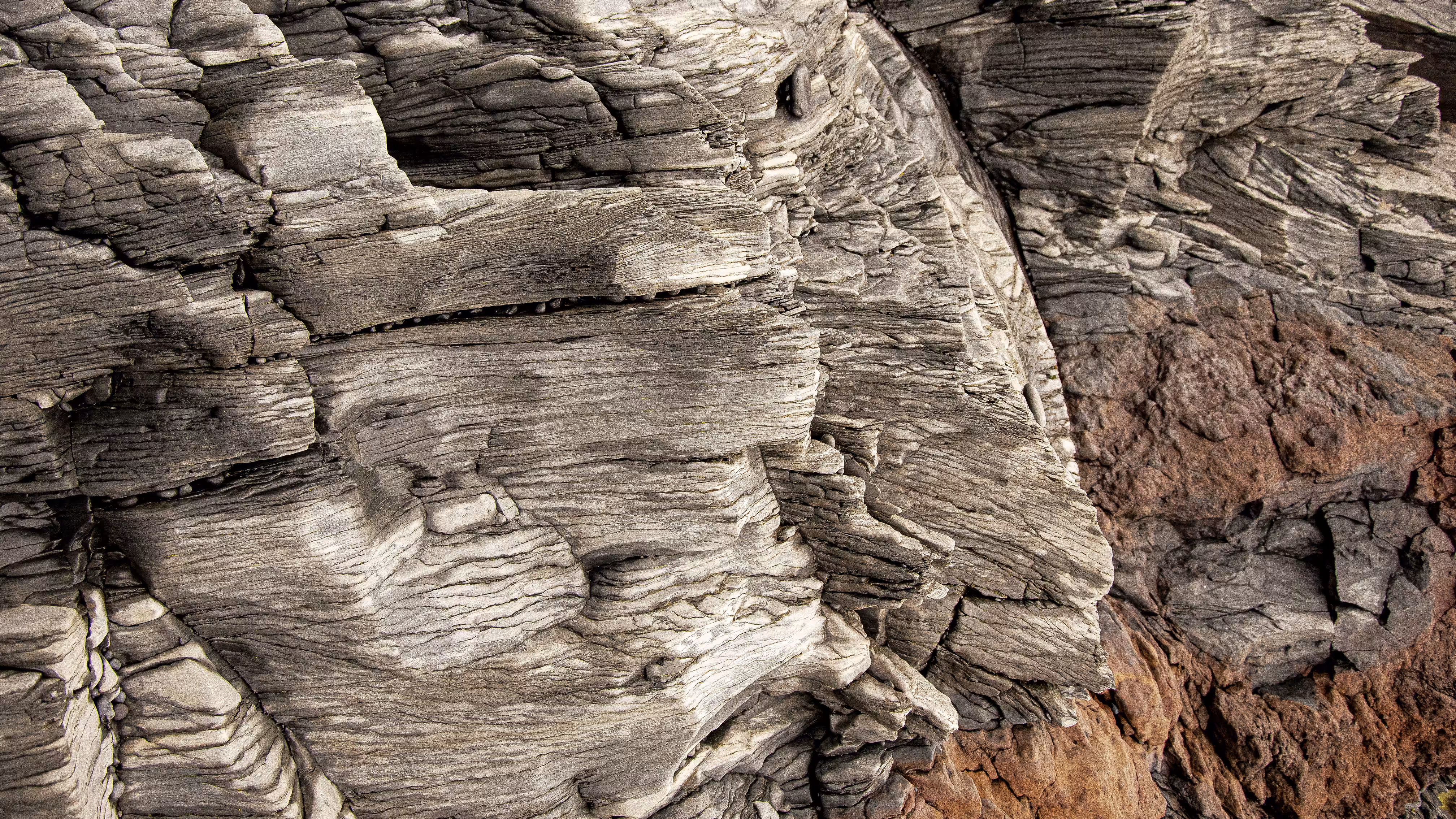 Nature Signatures: Secundus