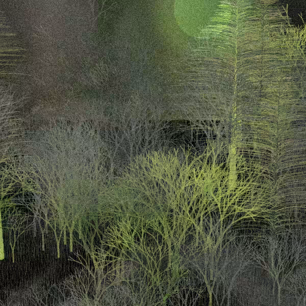 Moonlit Native Bush #124