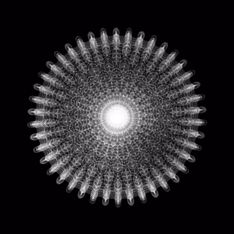 Many worlds #166