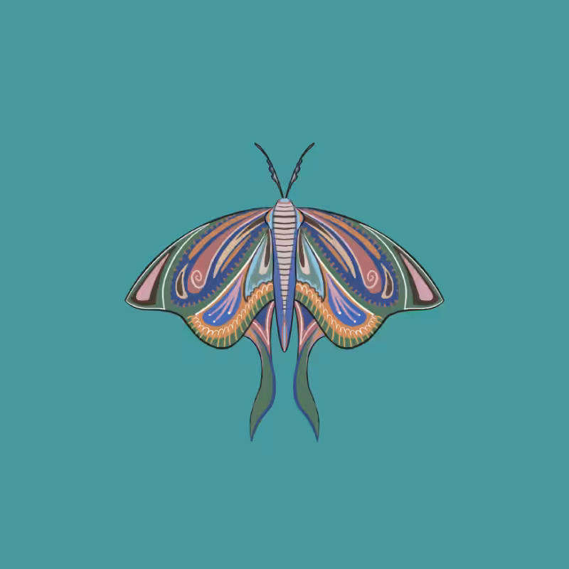 The Moth Experiment 2.0 P2 #30