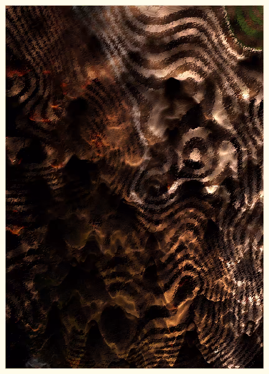 Coral Special Edition #40