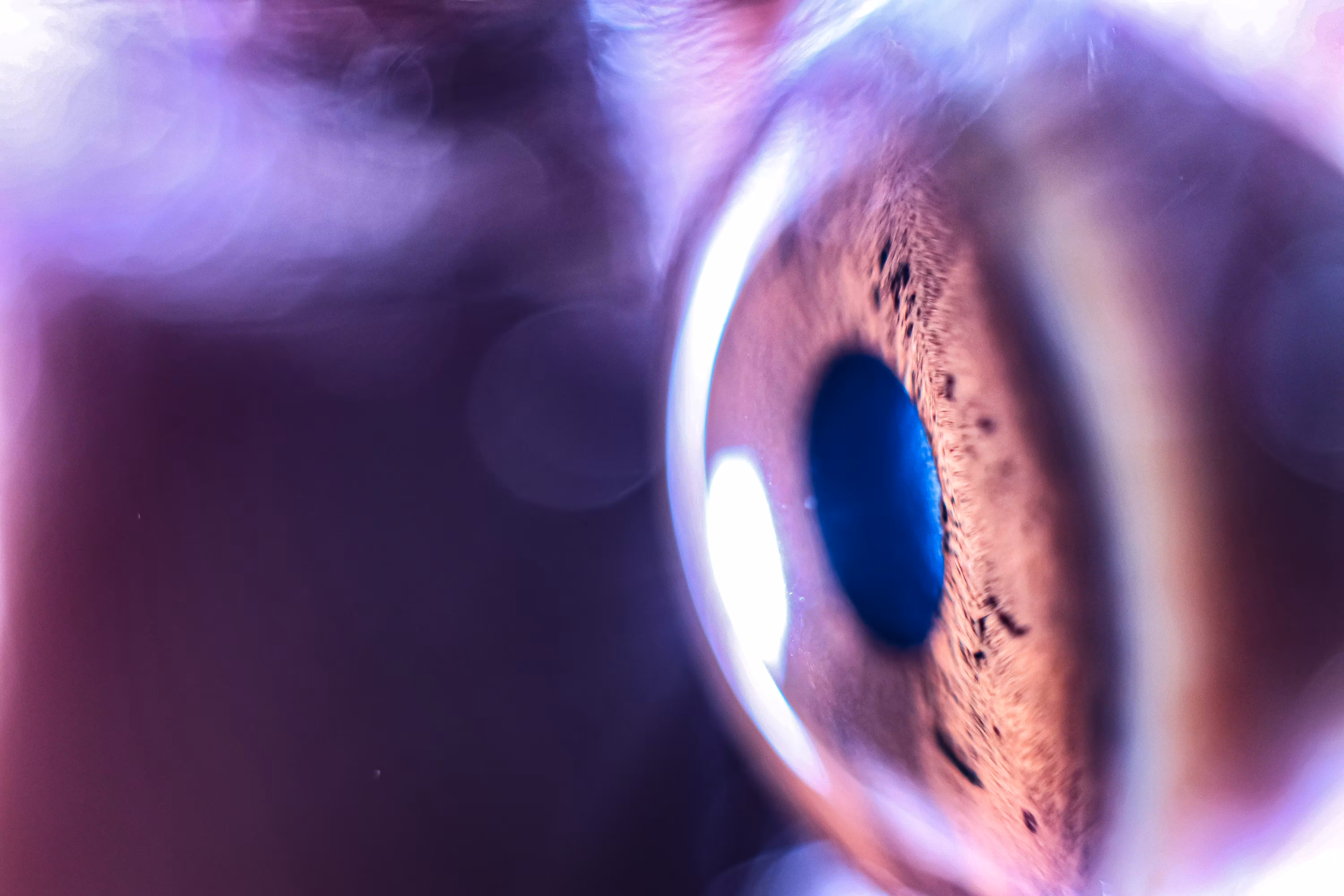 Fear in the eyes