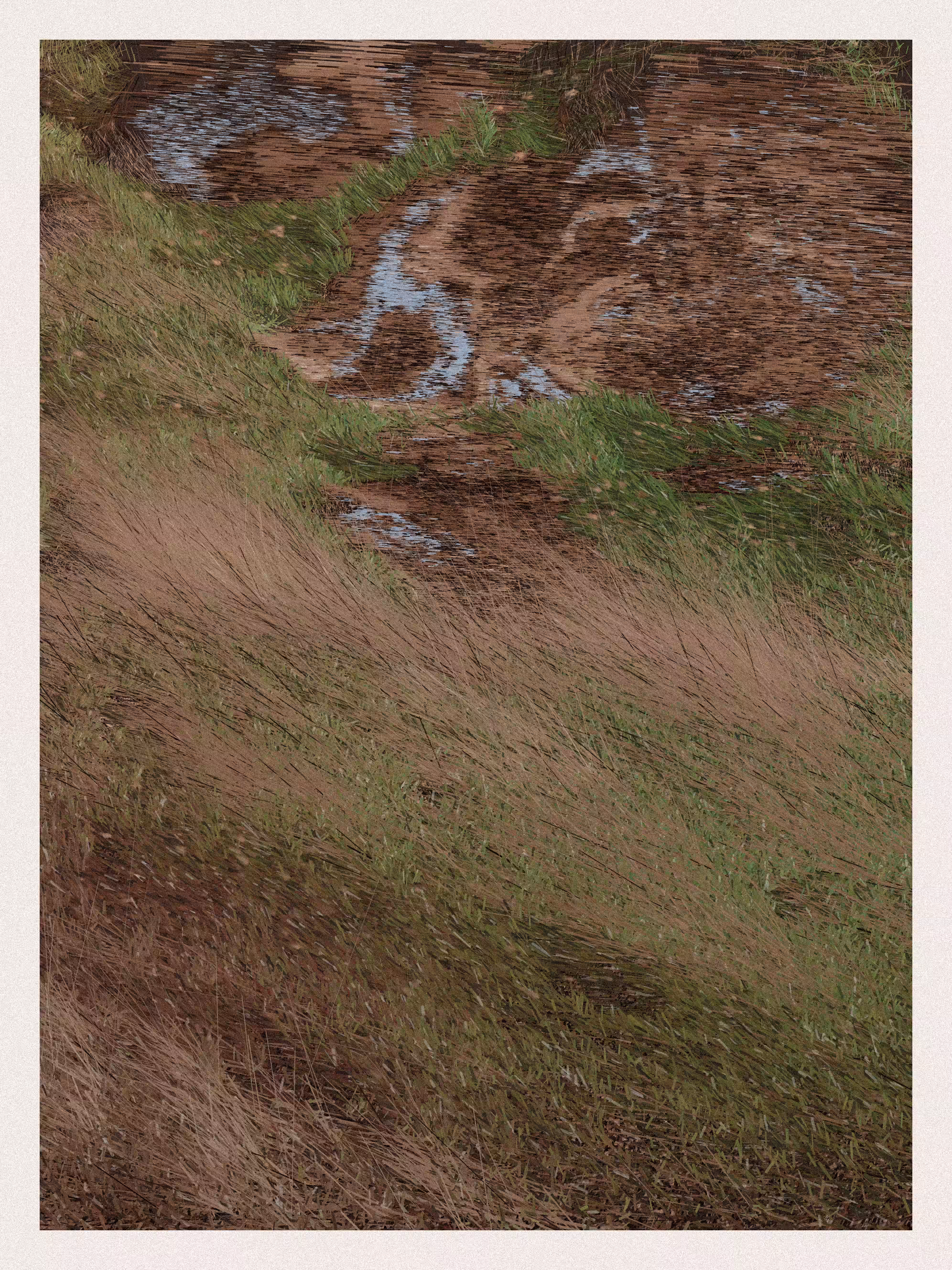 Primitive Landscape