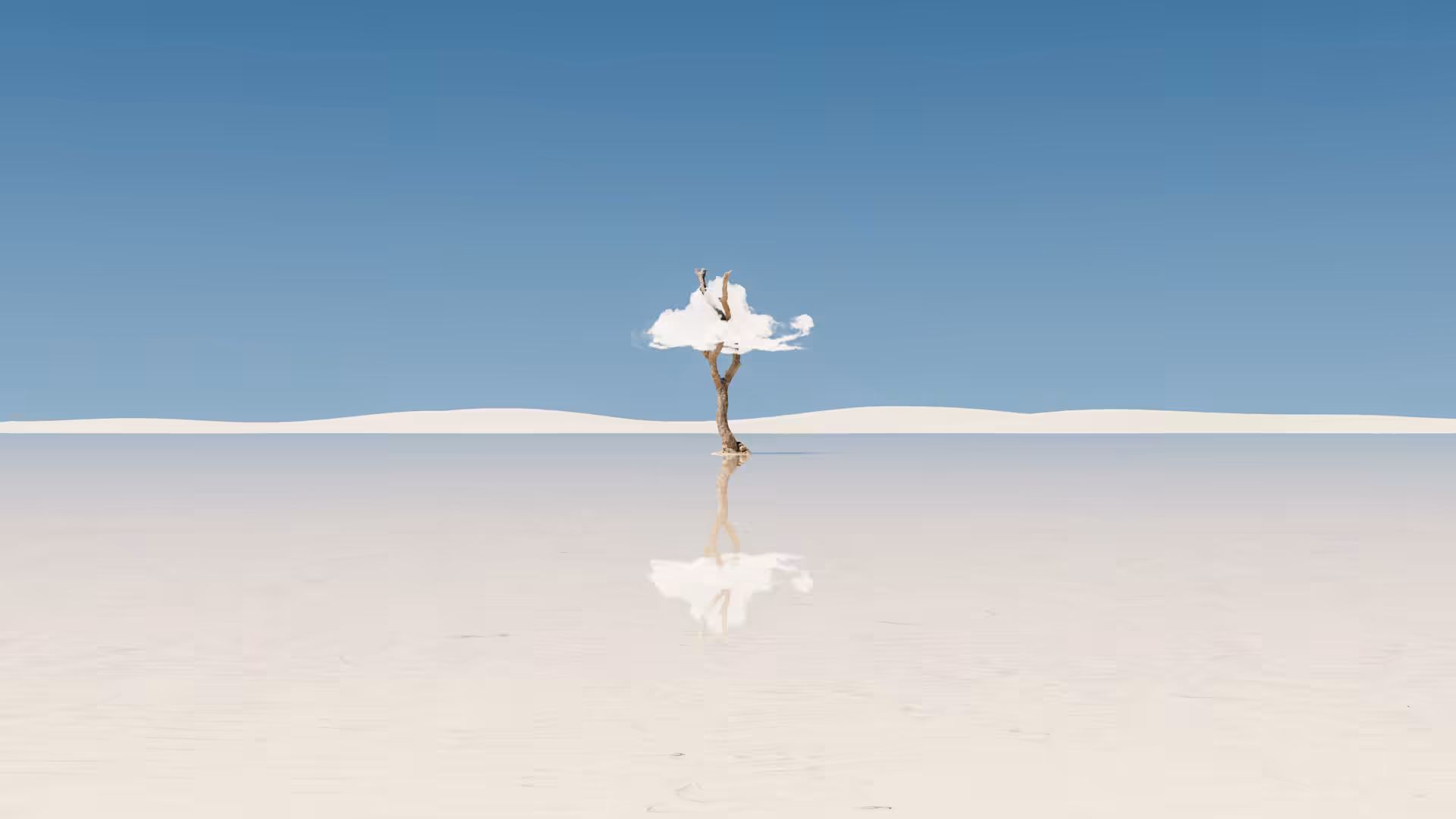 Sea Tree