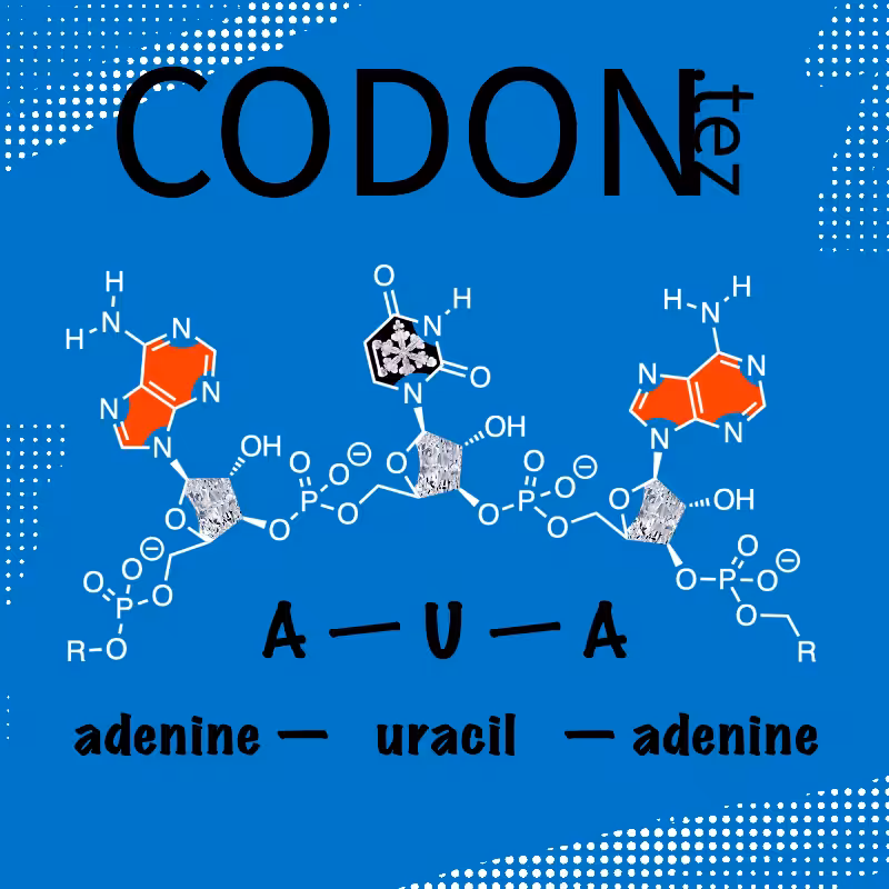 Codon Minter #30