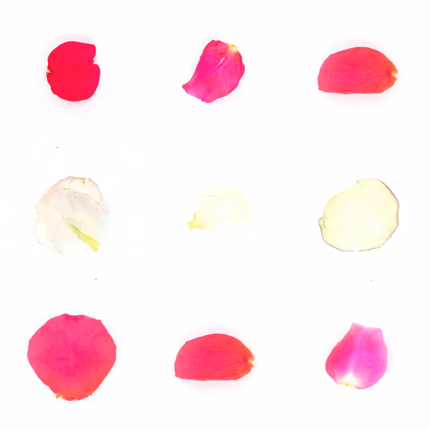 Infinite Petals 3x3#3330