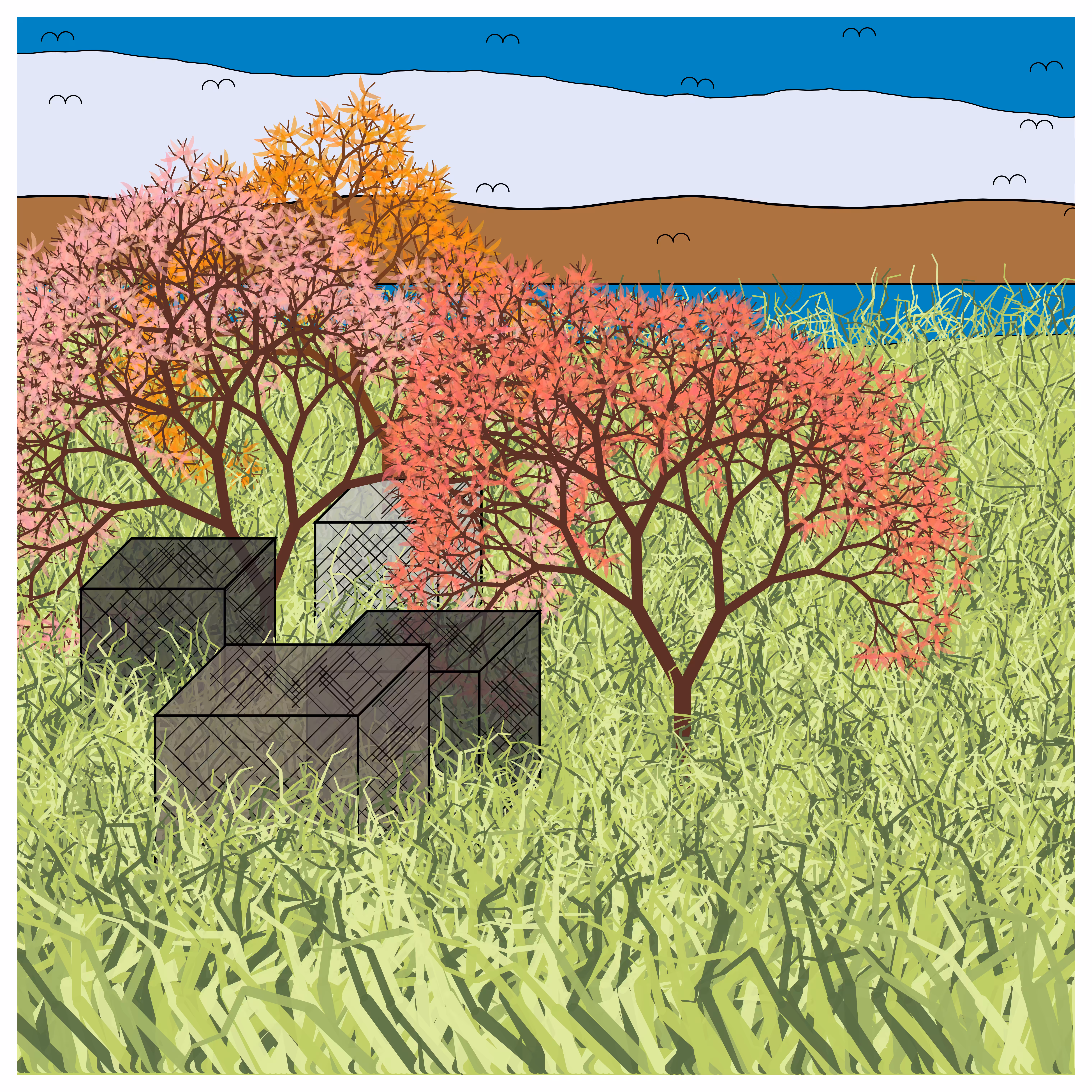 Cube Forest #30