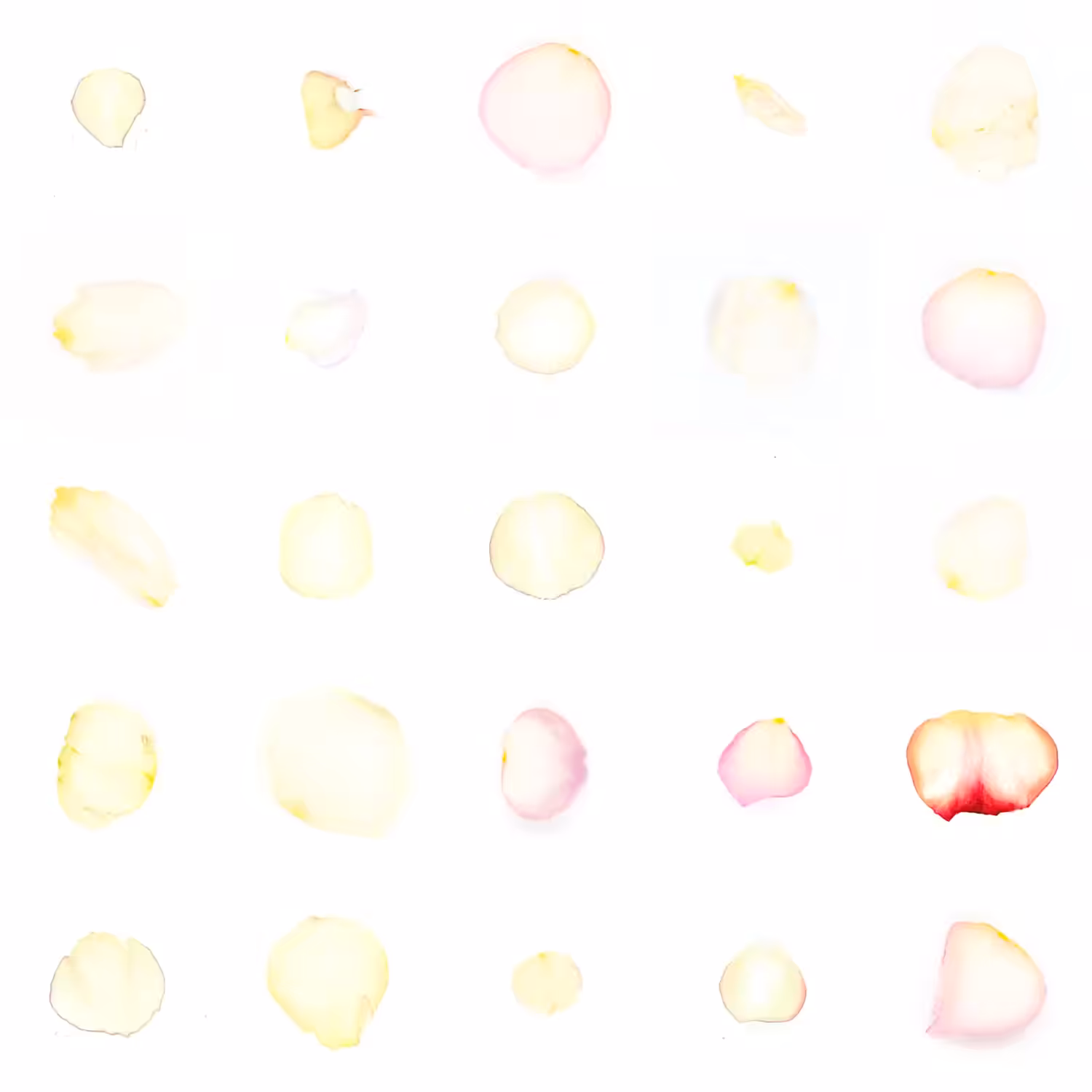 Infinite Petals 5x5#578