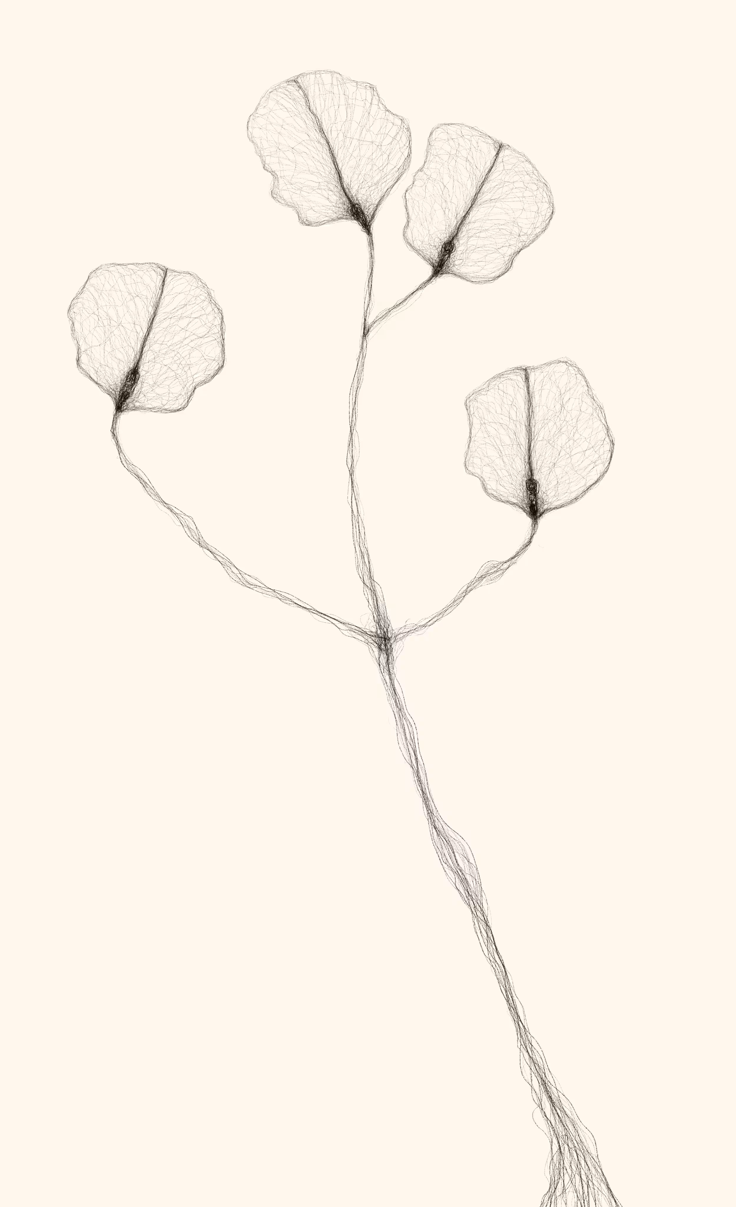 Minimal n.2 